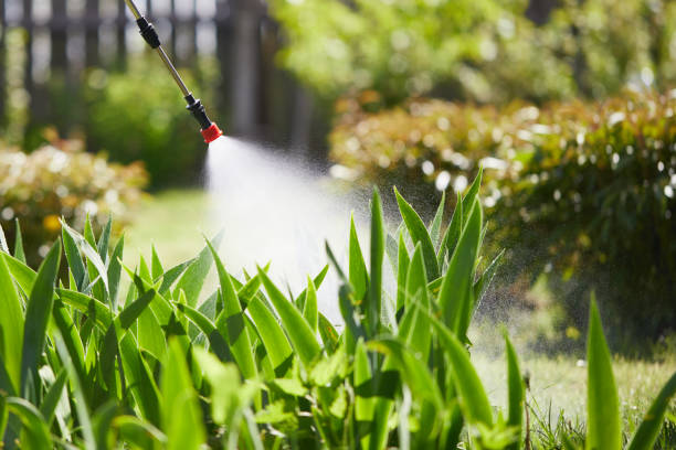 Tamper-Resistant Bait Stations for Rodents in Lawtell