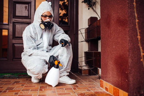 Attic and Crawl Space Rodent Treatment in Lawtell