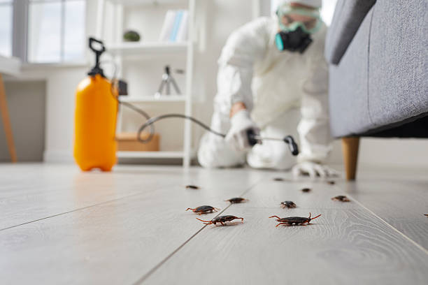 Commercial Rodent Management in Lawtell